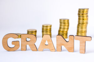 annual grant