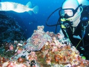 Nick diving at reef