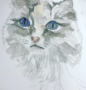 Jacqueline Fleming cat portrait